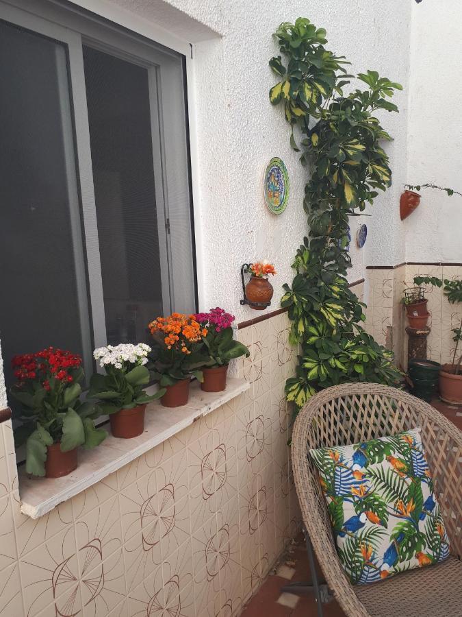 ホテル The Jasmine House オルベラ エクステリア 写真