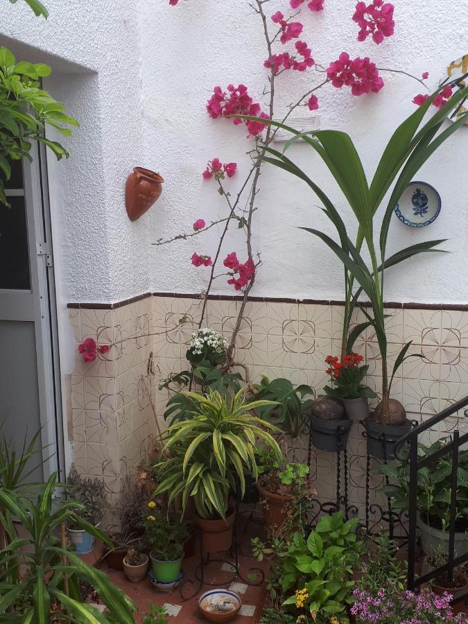 ホテル The Jasmine House オルベラ エクステリア 写真